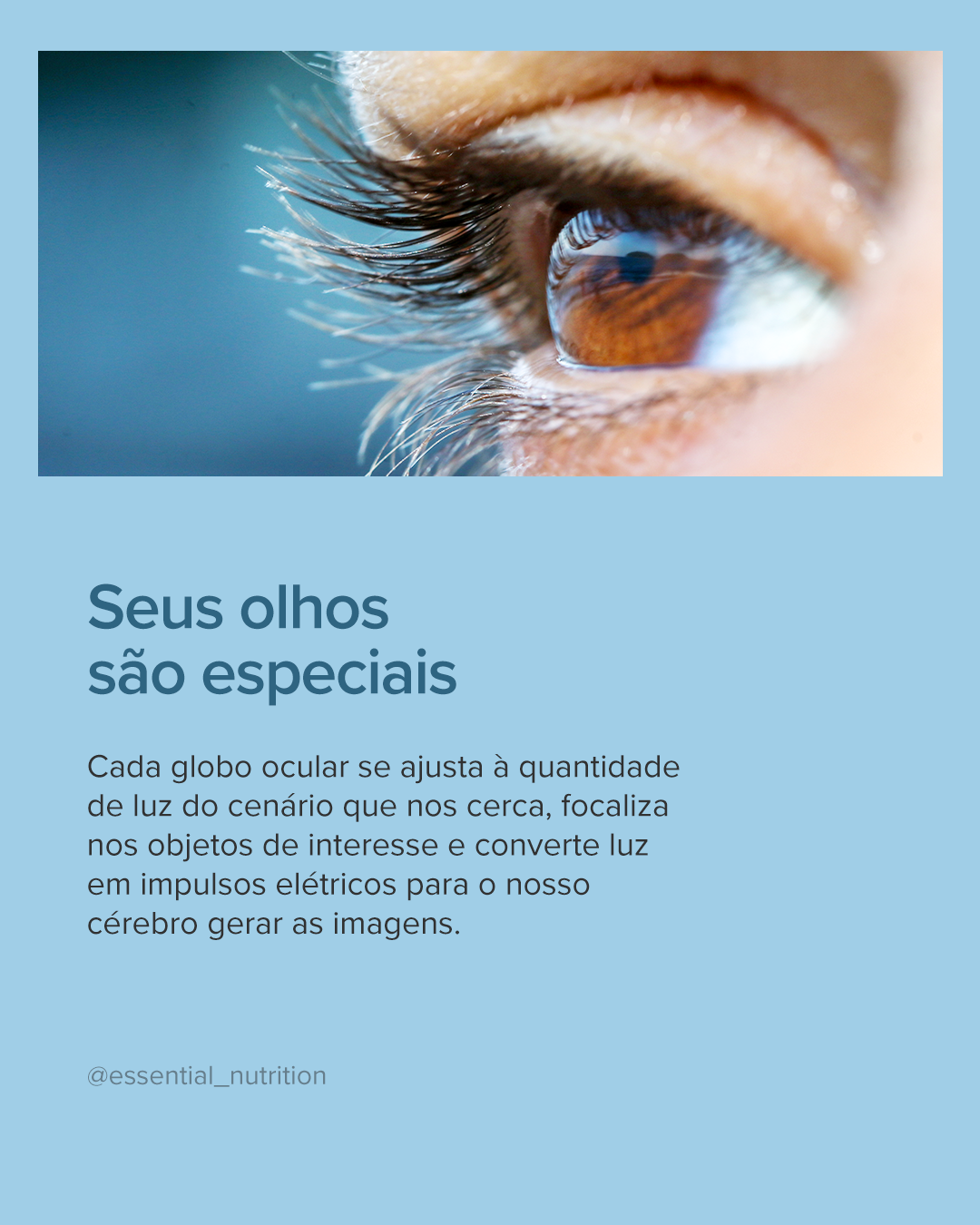 ESSENTIAL - Omega Vision - 60 capsulas