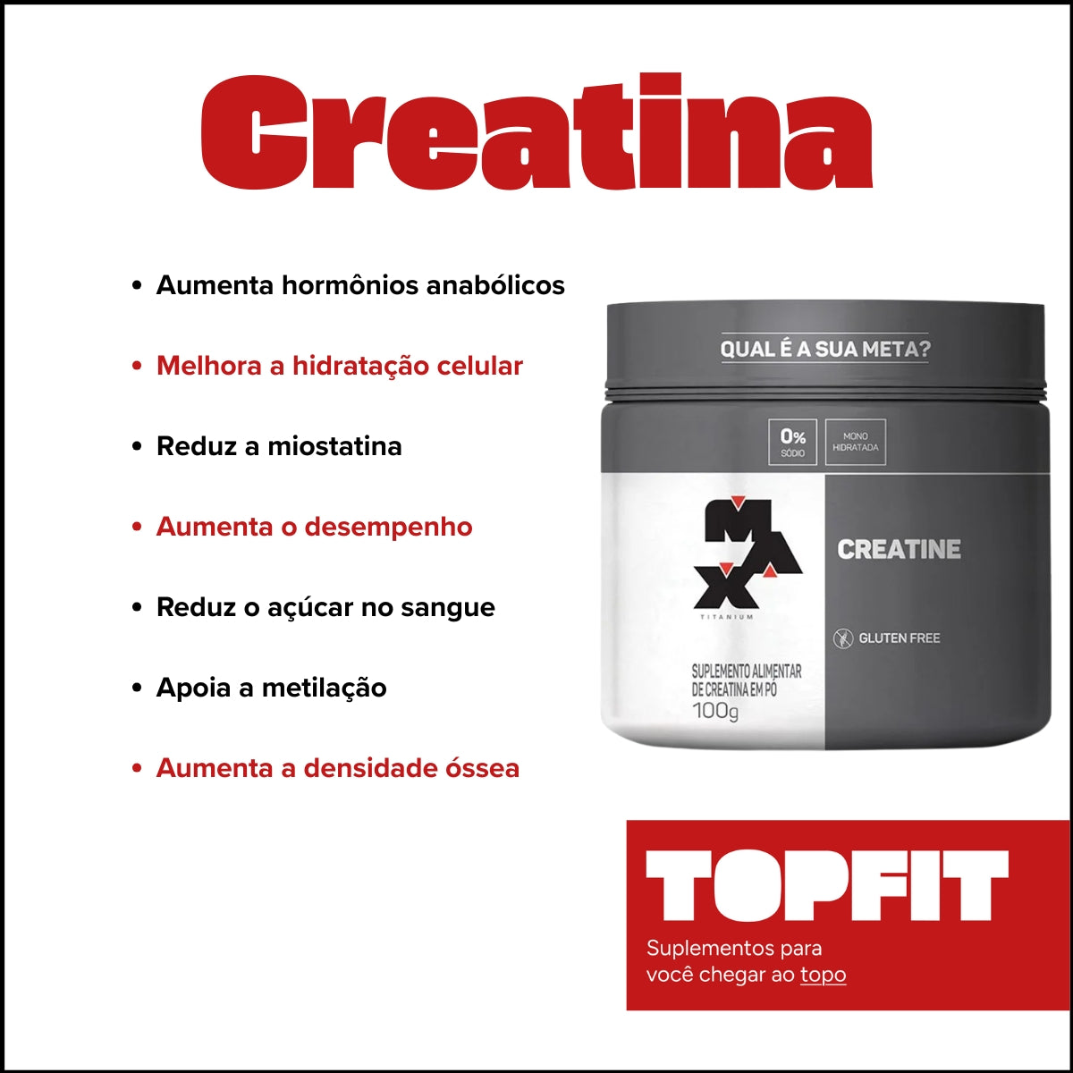MAX - CREATINE POTE 100G