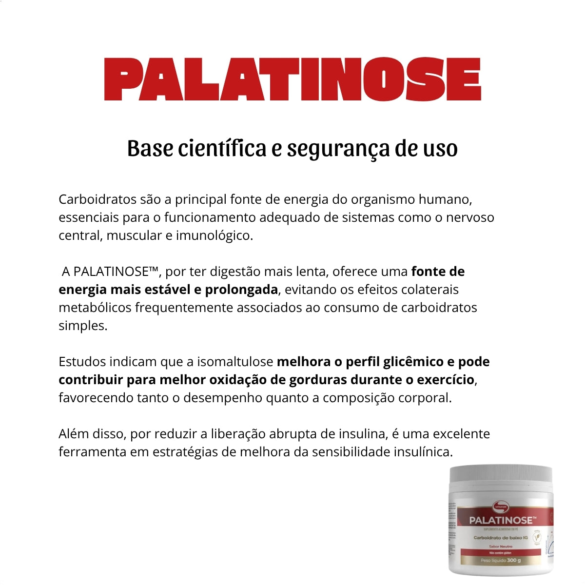 VITAFOR - PALATINOSE 300G