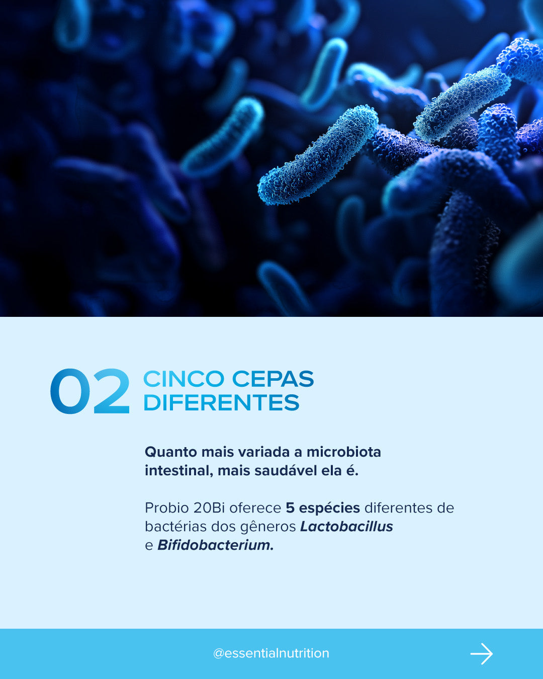 ESSENTIAL - Probio 20Bi - 30 capsulas
