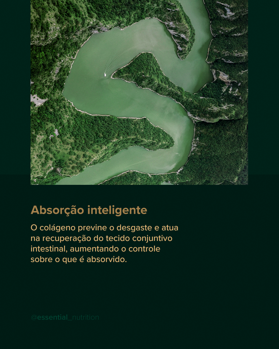 ESSENTIAL - COLLAGEN GUT (LATA)