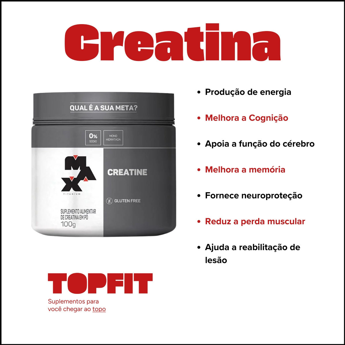MAX - CREATINE POTE 100G